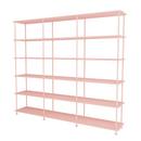 Free 555000 Shelf