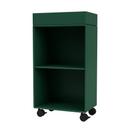 Preppy Trolley, Pine
