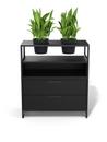 M1 plant sideboard, Version 1 (H 90 x W 80 cm), Black