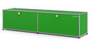 USM Haller Lowboard L with 2 Drop-down Doors, USM green