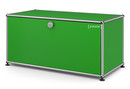 USM Haller Lowboard M, with 1 Drop-down Door, USM green