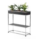 USM Haller Plant Side Table Type 1, Anthracite RAL 7016