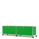 USM Haller TV-/HiFi-Lowboard, Customisable, USM green, With 2 drop-down doors, With cable entry hole bottom centre