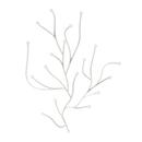 Algue, White