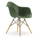 Details Vitra Eames Plastic Armchair DAW Eames Plastic Armchair DAW, Forest, Without upholstery, Without upholstery, Standard version - new (43 cm), Ash honey tone