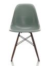 Eames Fiberglass Chair DSW, Eames sea foam green, Dark maple