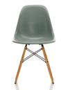 Eames Fiberglass Chair DSW, Eames sea foam green, Yellowish maple
