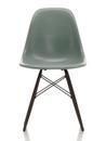 Eames Fiberglass Chair DSW, Eames sea foam green, Black maple