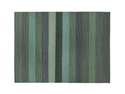 Rug/Runner Veronica 170 x 240 cm|Green