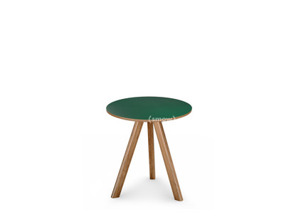 Copenhague Round Table CPH20 Ø 50 x H 49|Lacquered oak|Linoleum green