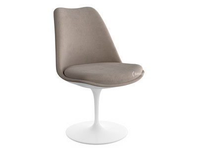 Saarinen Tulip Chair Static|Upholstered inner shell and seat cushion|White|Beige (Eva 177)