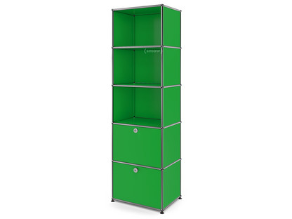 USM Haller Bookcase 50 With 2 drop-down doors|USM green