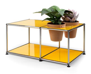 USM Haller Plant World Side Table Golden yellow RAL 1004|Terracotta