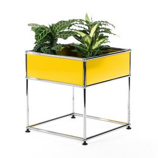 USM Haller Plant Side Table Type 2 Golden yellow RAL 1004|50 cm