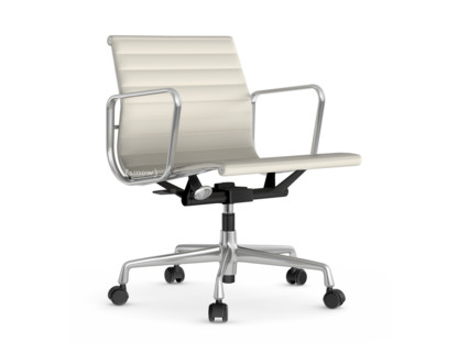 Aluminium Group EA 117 Polished|Leather (Standard)|Snow