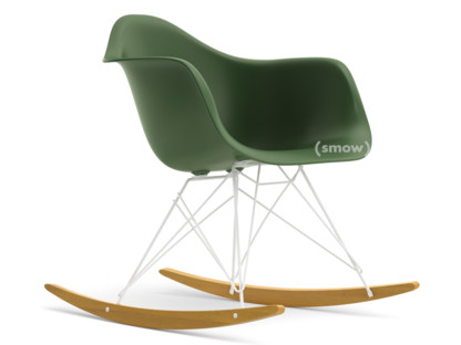 Eames Plastic Armchair RE RAR Forest|Coated white|Yellowish maple