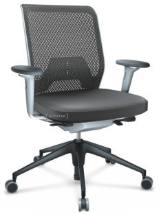 ID Mesh FlowMotion-without tilt mechanism, without seat depth adjustment|With 3D-armrests|5 star foot , basic dark plastic|Soft grey|Silk mesh seat cover, diamond mesh back|Asphalt