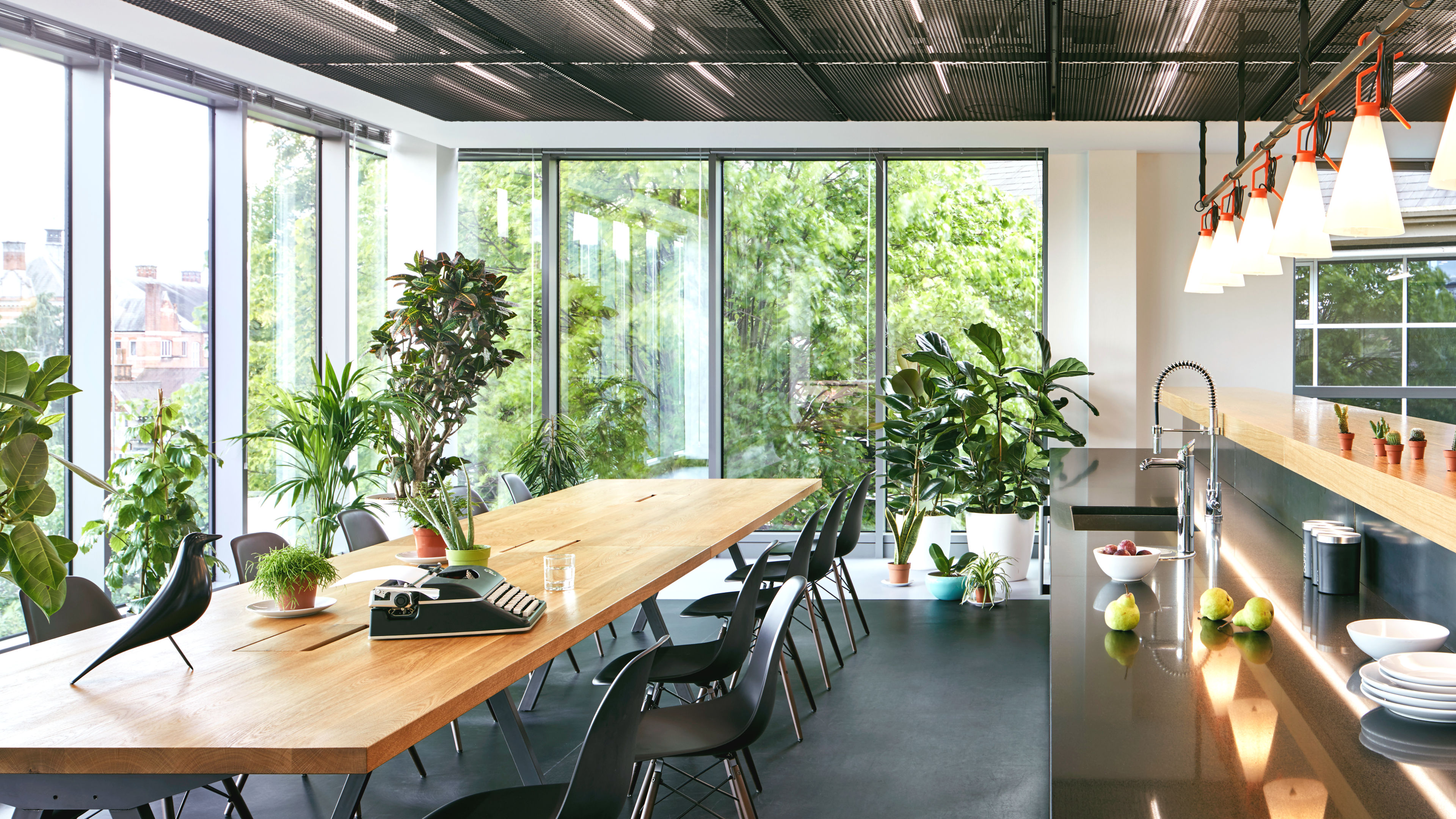 Green is the new Black: Green Oasis in the Office
