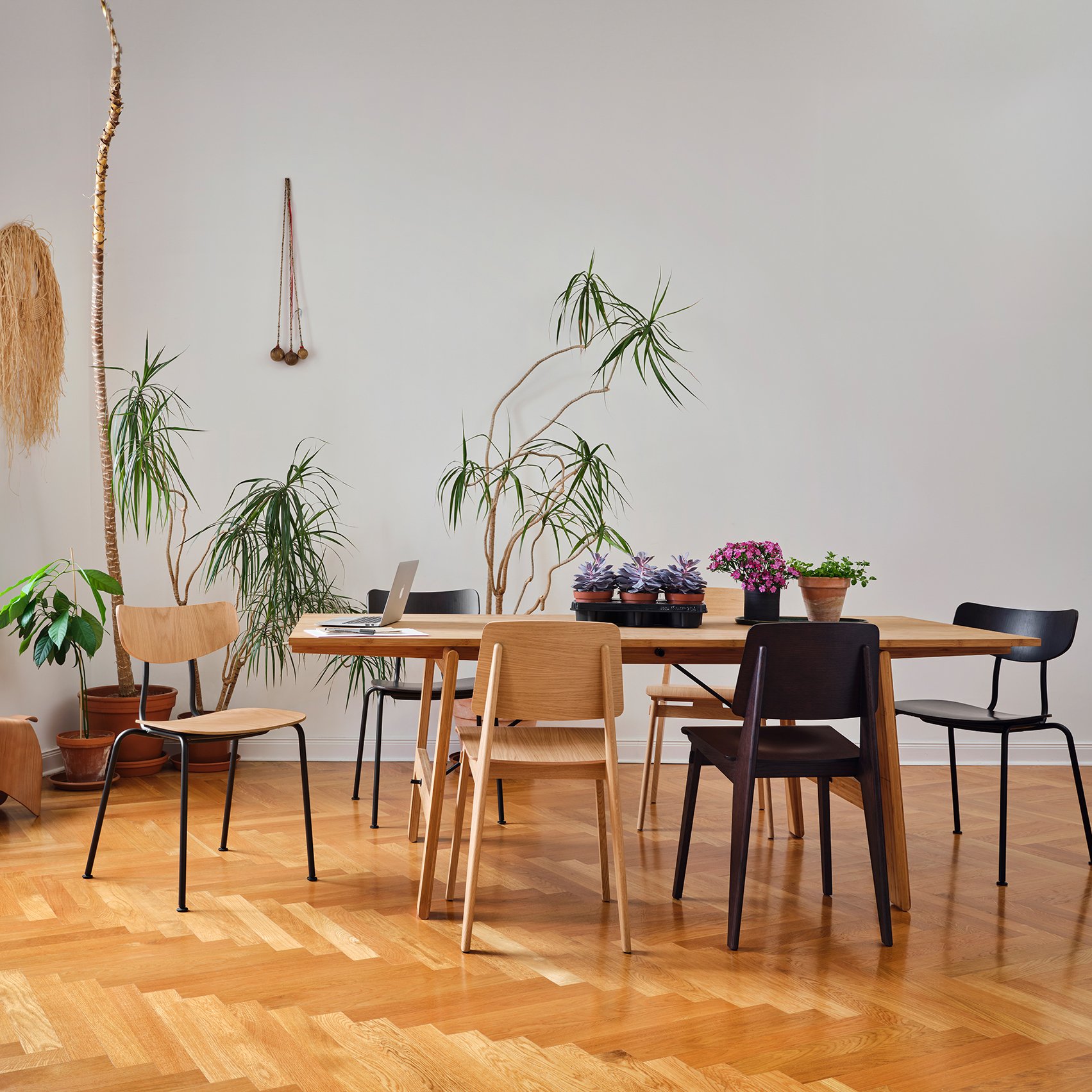 Moca Chair, Dark oak, Powder-coated basic dark | Vitra | Chairs