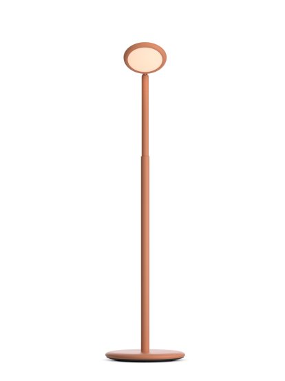 Parrot Standing Lamp