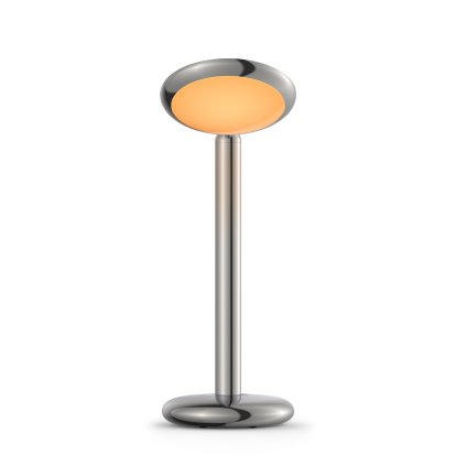 Parrot Table Lamp, Polished