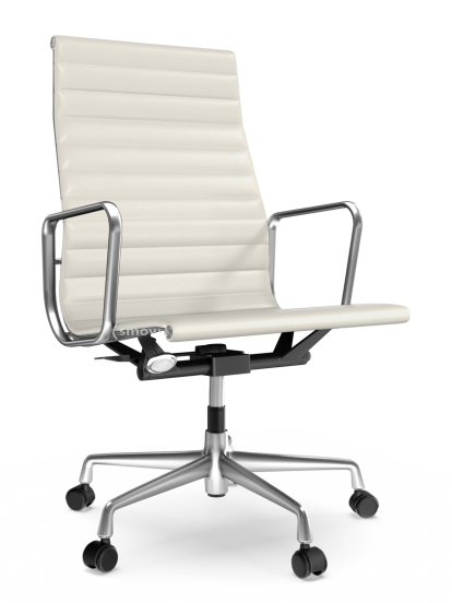 Aluminium Group EA 119, Polished, Leather (Standard), Snow
