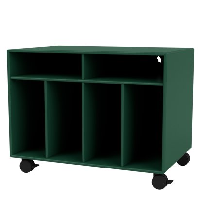 SPIN I Record storage, Pine