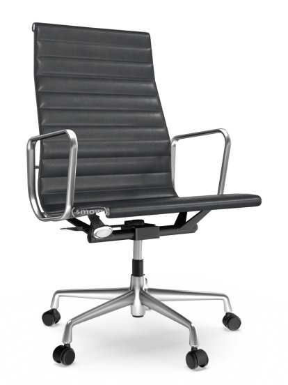 Aluminium Group EA 119, Polished, Leather (Standard), Asphalt