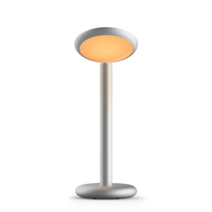 Parrot Table Lamp