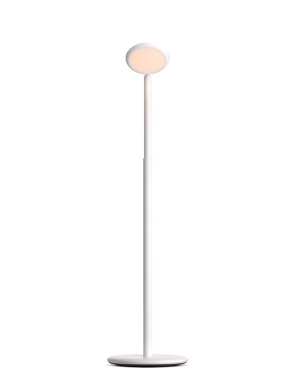Parrot Standing Lamp, White