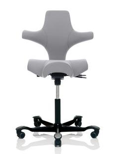Capisco 8106, Xtreme light grey, Black